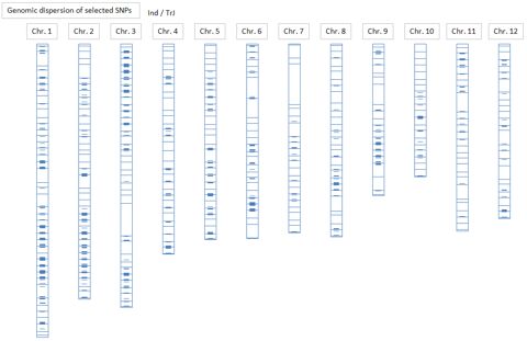 extractedSNPs